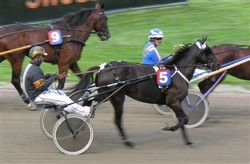Olzons Luring Solvalla